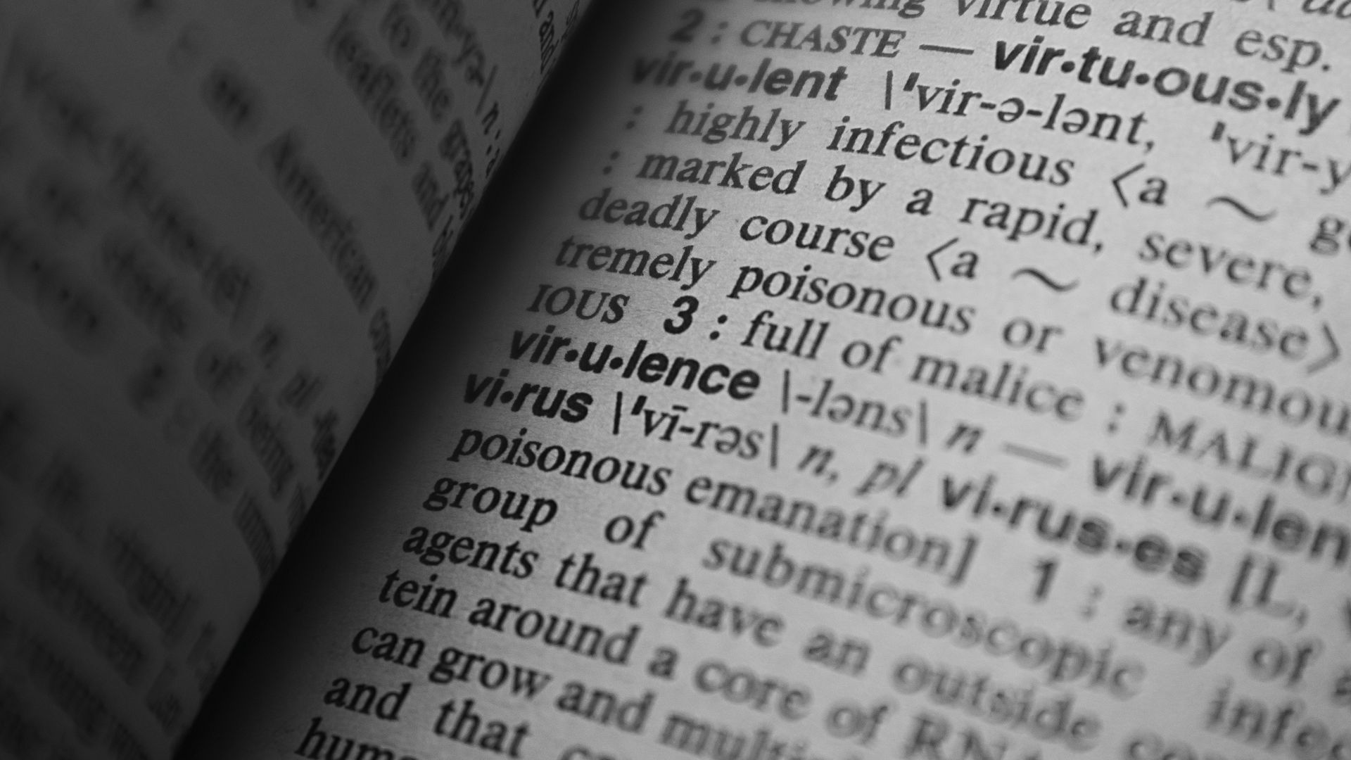 A close-up view of words and definitions in a printed dictionary.