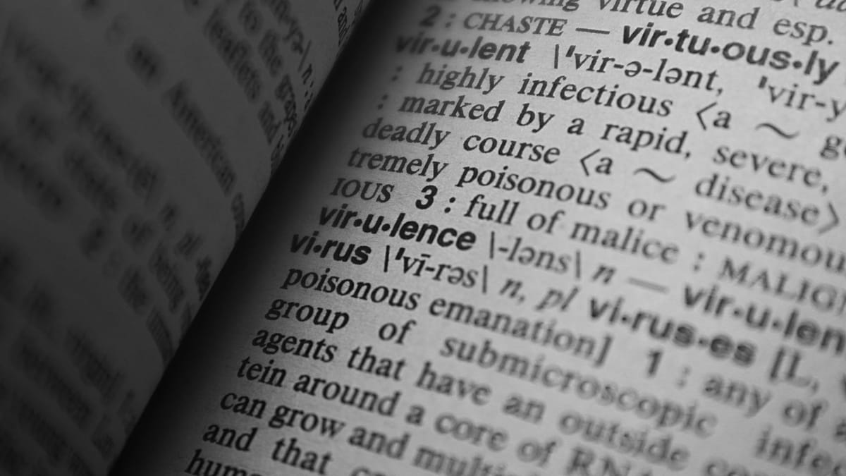 A close-up view of words and definitions in a printed dictionary.