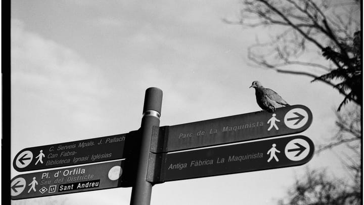 A trail sign showing different route directions.