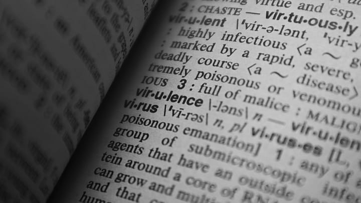 A close-up view of words and definitions in a printed dictionary.